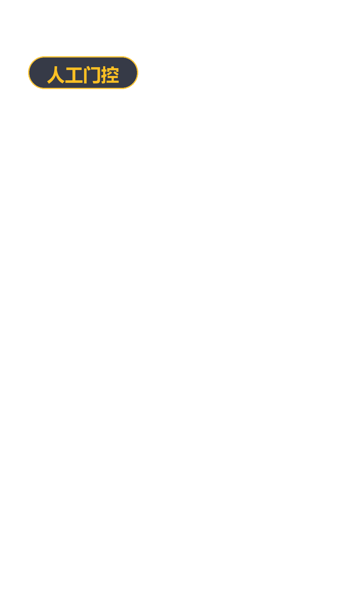 chip_rule3.png